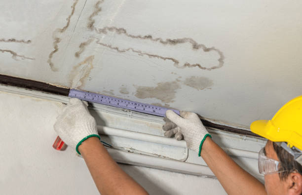 Reliable Burst Pipe Cleanup contractor in Denbo, PA by Water Damage Irwin